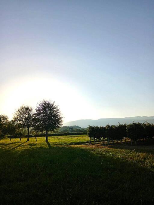 Relax Nelle Colline Del Prosecco Apartment Pederobba ภายนอก รูปภาพ